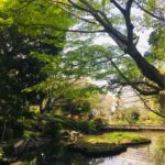 有栖川宮記念公園はコロナでも遊べるよ!遊具や釣り&駐輪場情報