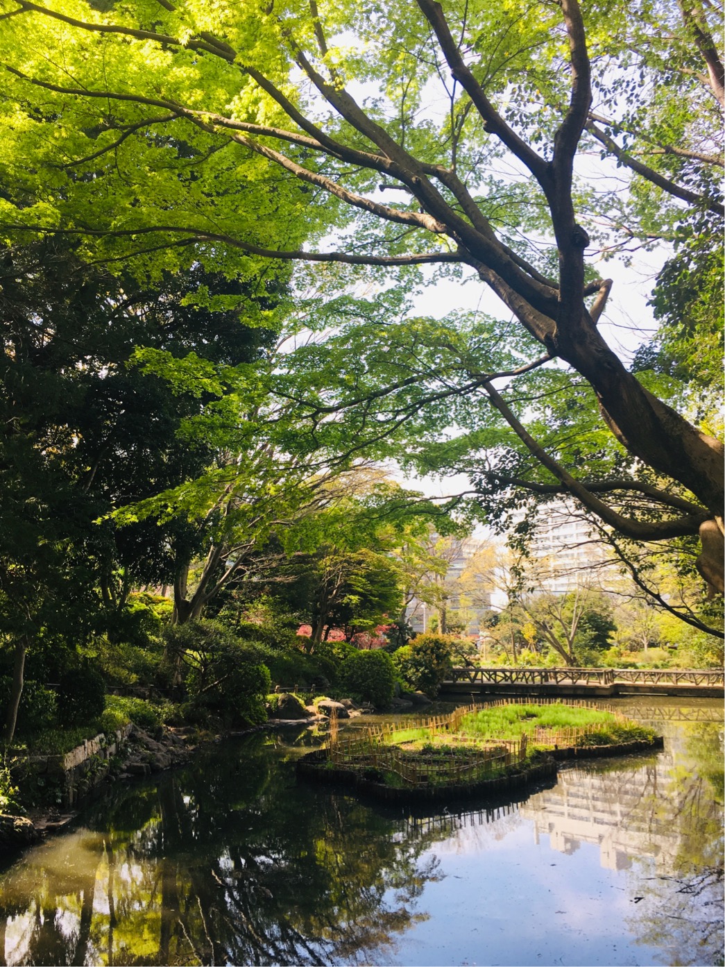 有栖川宮記念公園はコロナでも遊べるよ！遊具や釣り＆駐輪場情報